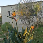 U Caseddu Di Apartment *