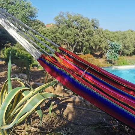 公寓 U Caseddu Di 莫纳奇亚道勒内