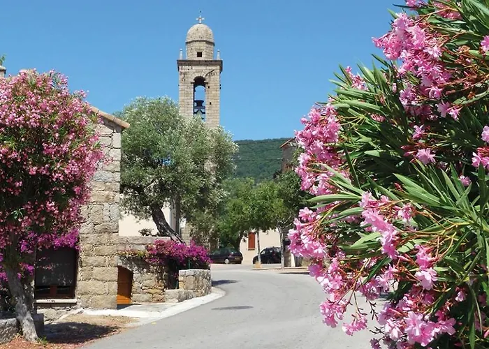 U Caseddu Di * 莫纳奇亚道勒内