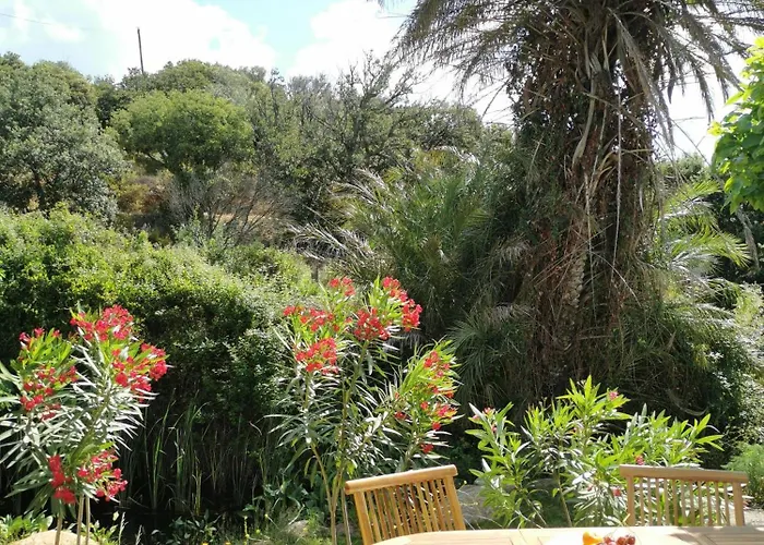 U Caseddu Di 公寓 莫纳奇亚道勒内