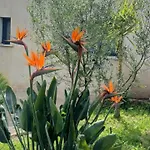 U Caseddu Di Appartement Monacia-d'Aullene