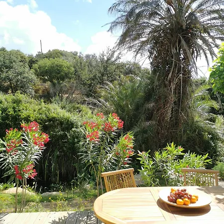 U Caseddu Di Apartment Monacia-d'Aullene