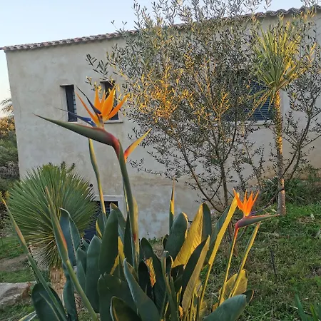 U Caseddu Di Apartment *