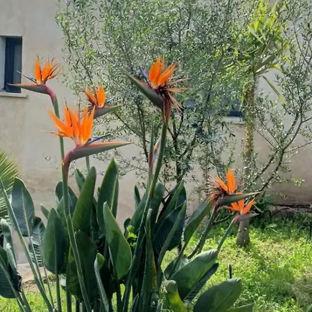 U Caseddu Di Apartment Monacia-d'Aullene