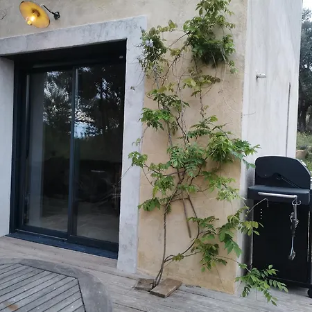 Appartement U Caseddu Di Monacia-d'Aullene