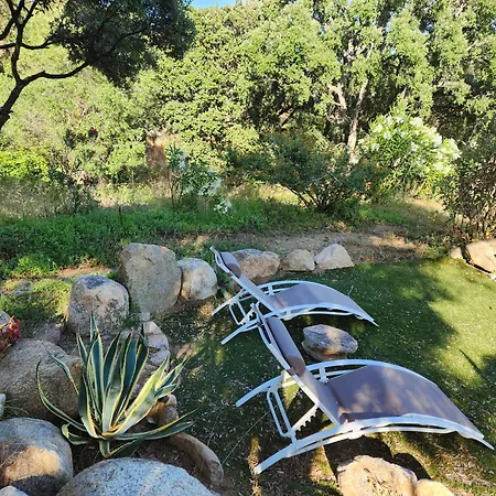 U Caseddu Di Appartement Monacia-d'Aullene