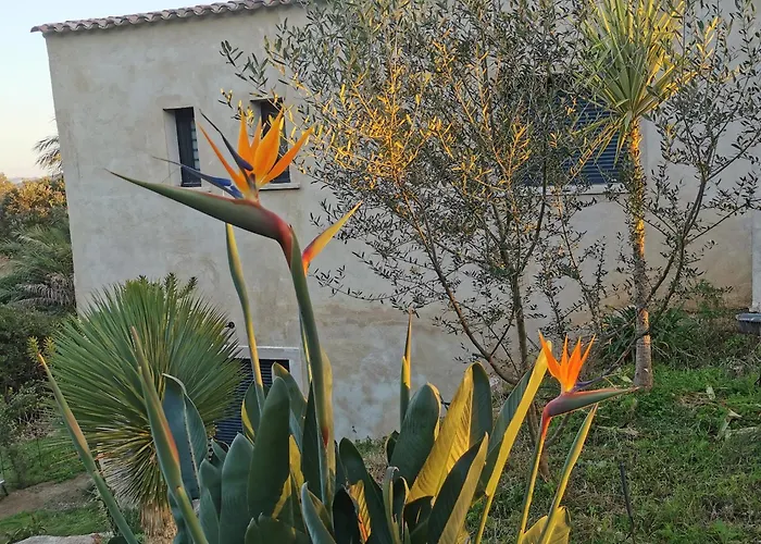 U Caseddu Di Apartmán *