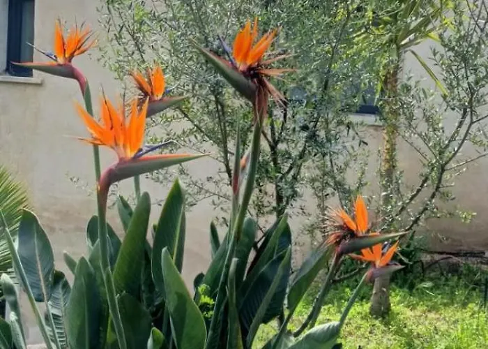 U Caseddu Di Apartmán Monacia-d'Aullene